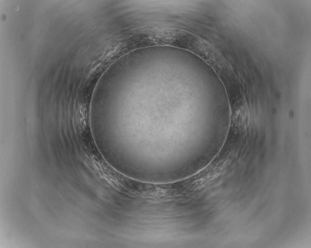 X0000089360772200706151132