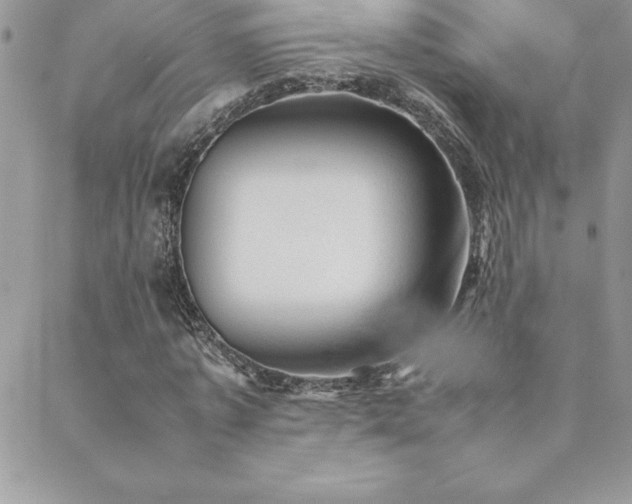 X0000089360773200706151132