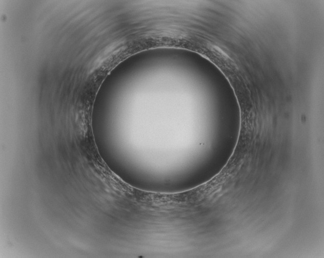 X0000089360774200706151132