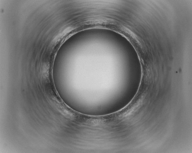 X0000089360778200706151132