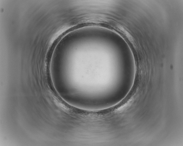 X0000089360779200706151132