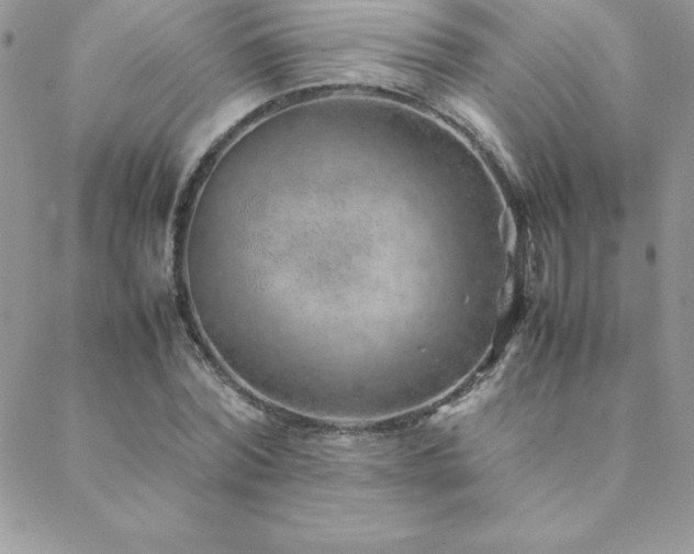 X0000089360780200706151132