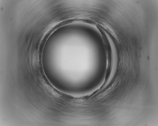 X0000089360784200706151132