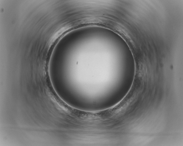 X0000089360786200706151132