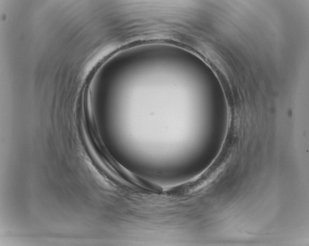 X0000089360789200706151132