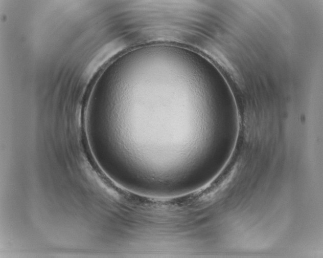 X0000089360790200706151132