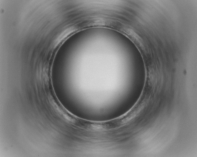 X0000089360794200706151132