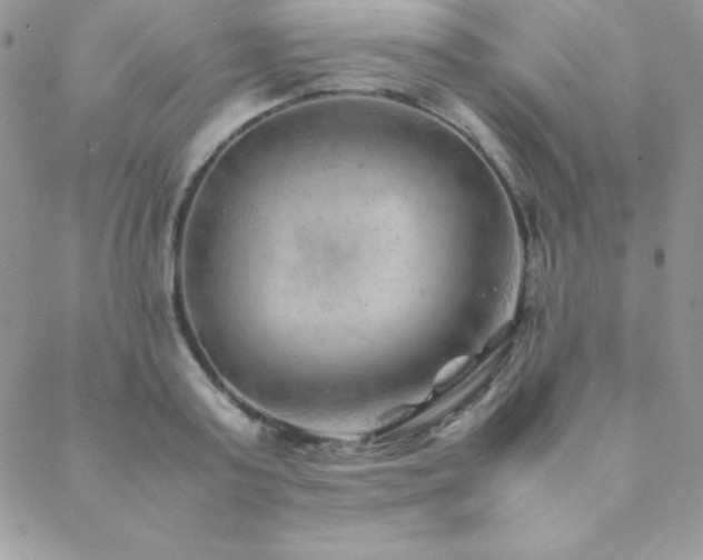 X0000089360795200706151132