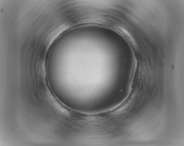 X0000089360796200706151132