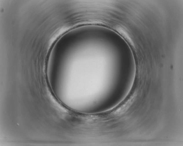X0000089360797200706151132