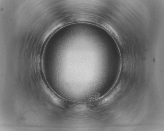 X0000089360798200706151132