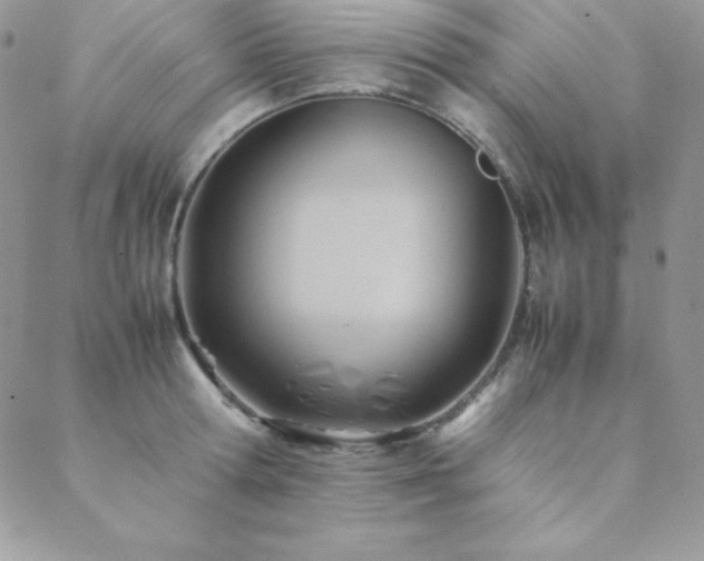 X0000089360802200706151132