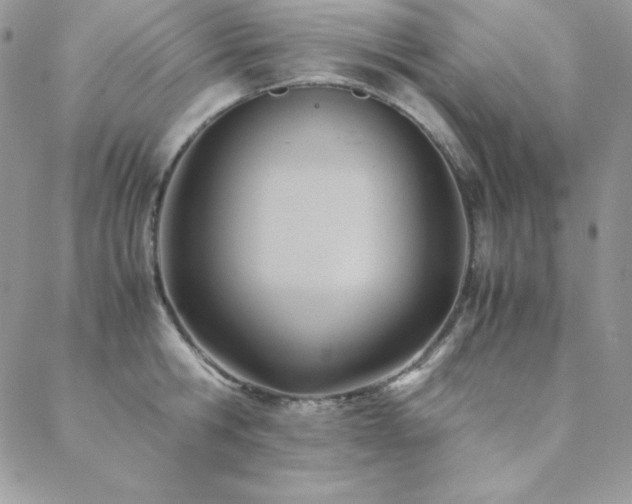 X0000089360806200706151132