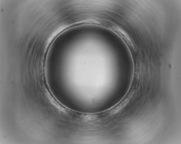 X0000089360808200706151132