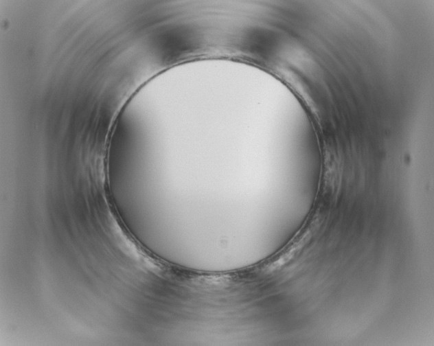 X0000089360810200706151132