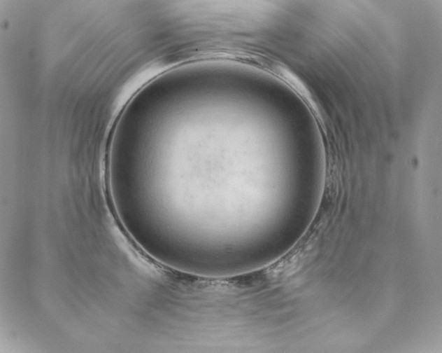 X0000089360811200706151132