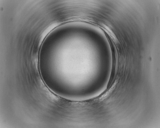 X0000089360812200706151132