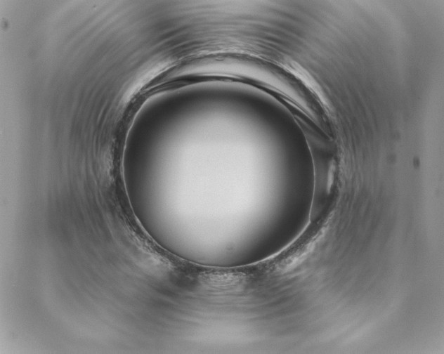 X0000089360826200706151131
