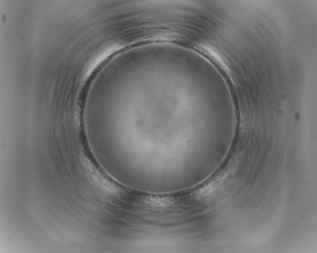 X0000089360835200706151131