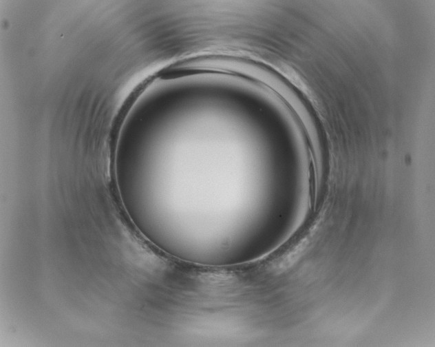 X0000089360838200706151131