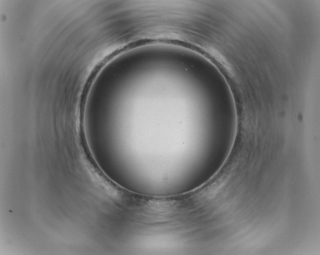 X0000089360840200706151131