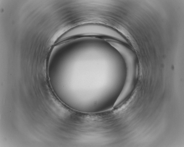 X0000089360842200706151131