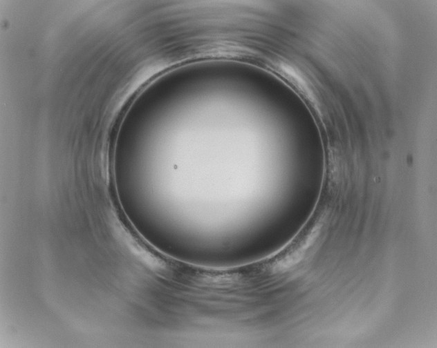 X0000089360843200706151131