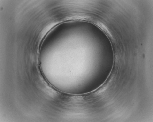 X0000089360844200706151131