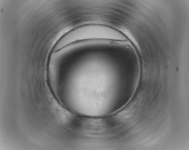 X0000089360845200706151131