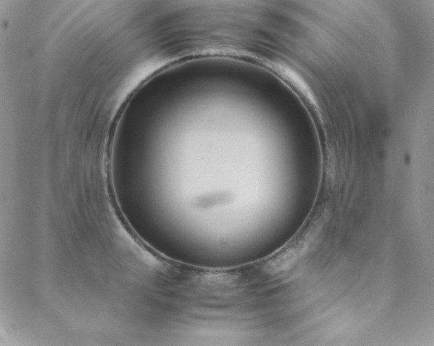 X0000089360847200706151131