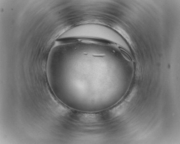 X0000089360849200706151131