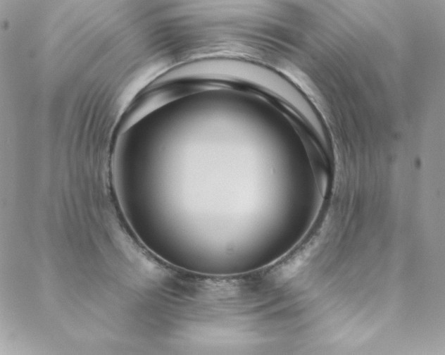 X0000089360850200706151132