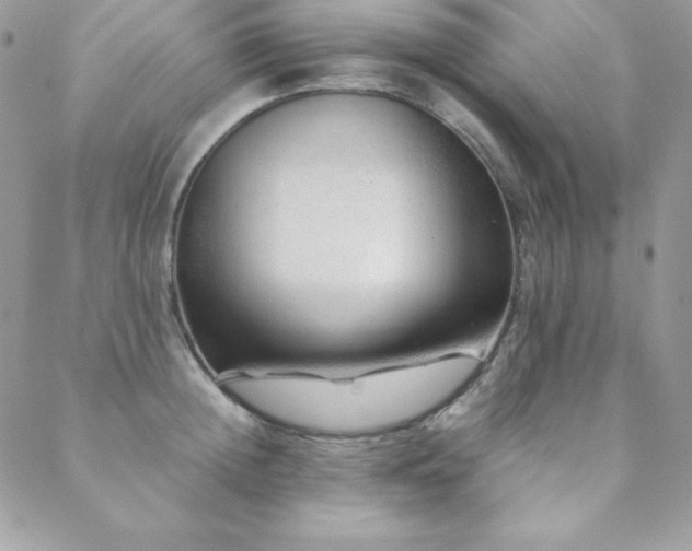 X0000089360852200706151132