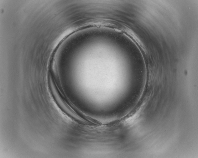 X0000089360853200706151132