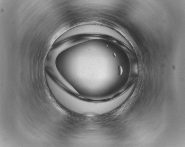 X0000089360858200706151132