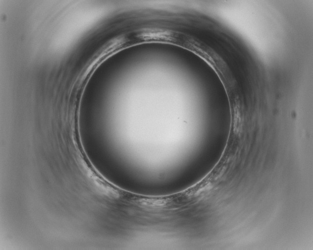 X0000089360861200706151132