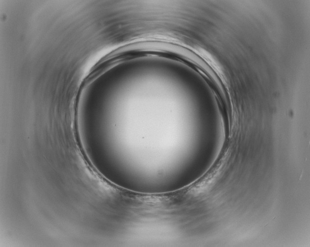 X0000089360862200706151132