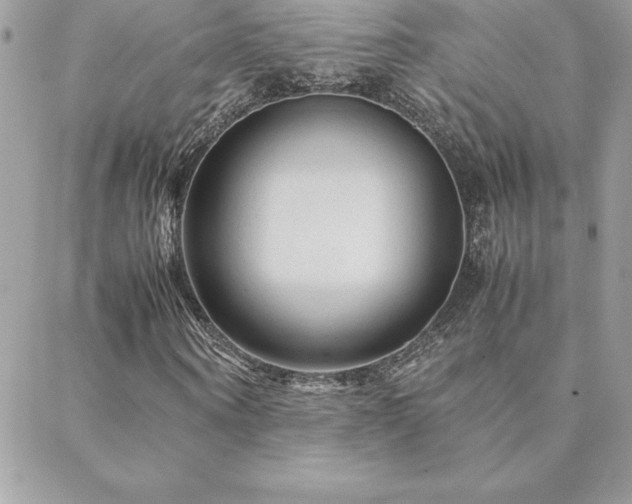 X0000089360866200706151131