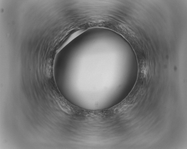 X0000089360868200706151131