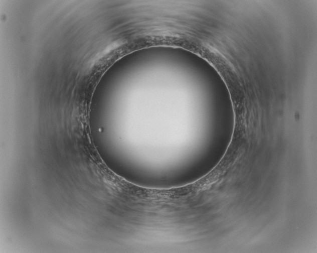 X0000089360870200706151131