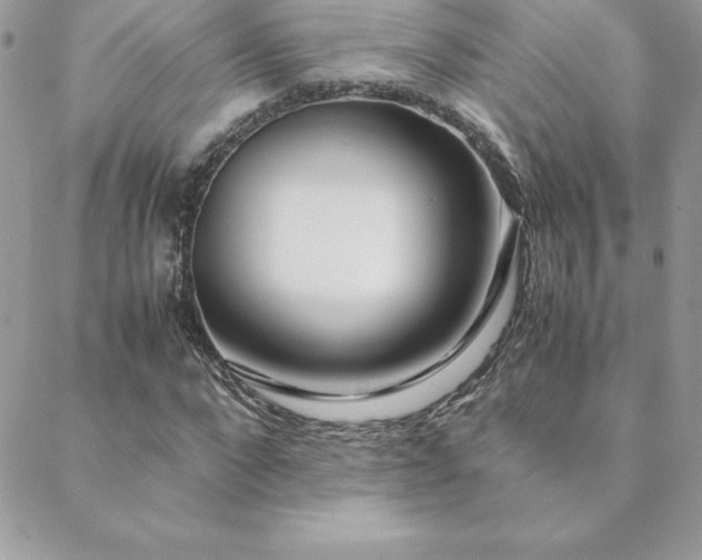X0000089360872200706151131