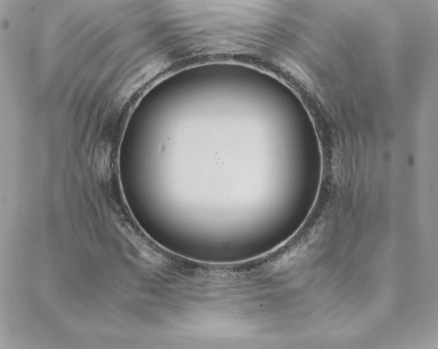 X0000089360873200706151131