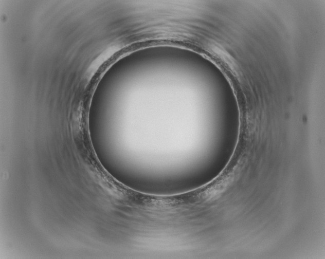 X0000089360875200706151131