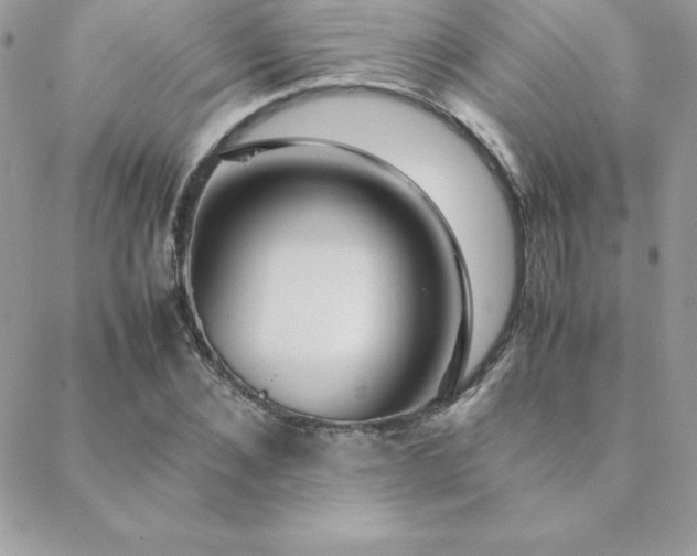 X0000089360876200706151131
