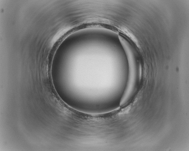 X0000089360877200706151131