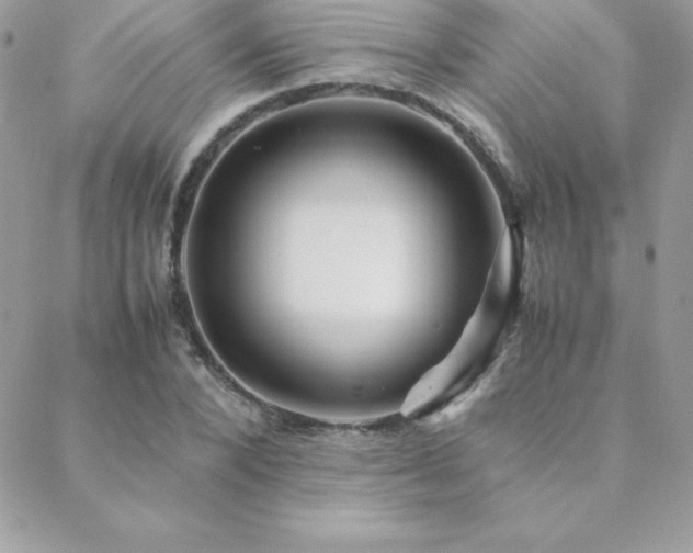 X0000089360880200706151131