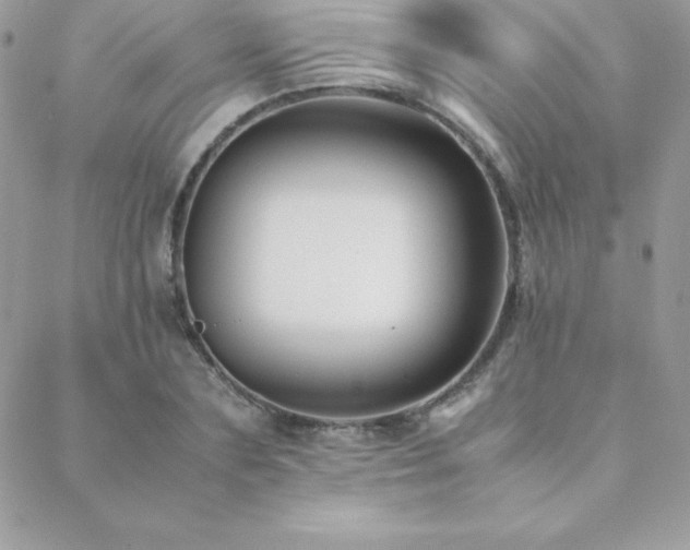 X0000089360883200706151131