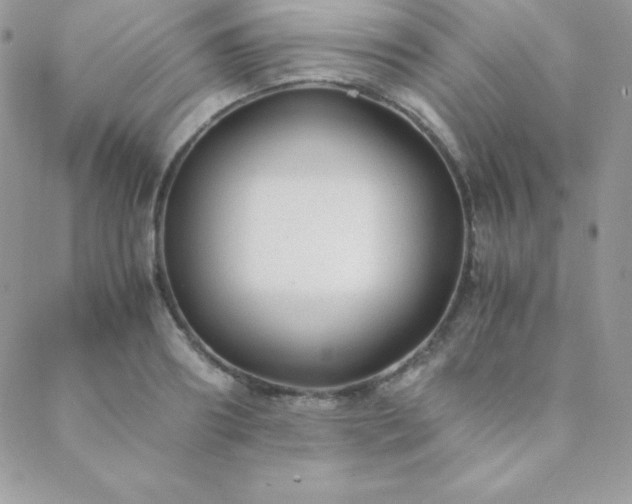 X0000089360890200706151131