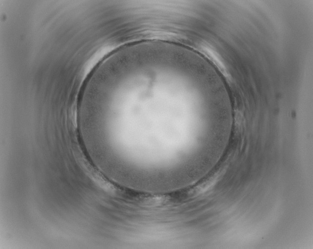 X0000089360891200706151131