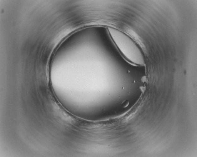 X0000089360892200706151131